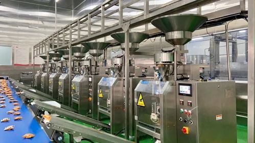 一片小鍋巴,他為何做的風生水起,登上飛機 冠名高鐵,還成 鍋巴第一股