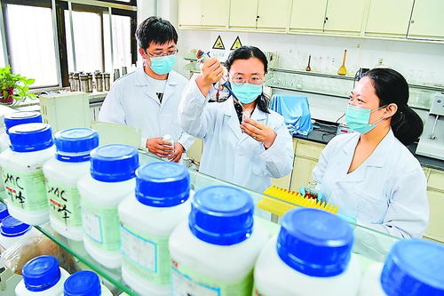 打一口井 留一片綠