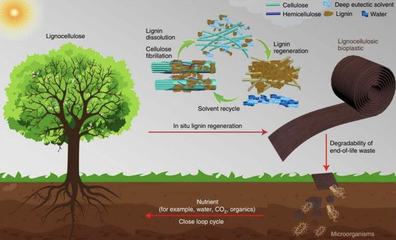 取于自然用于發(fā)展 生物基材料引領(lǐng)未來市場(chǎng)新趨勢(shì)